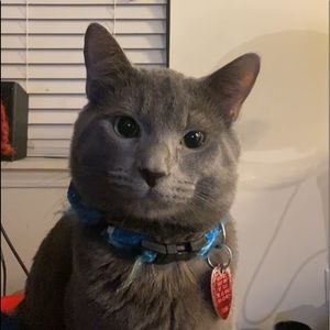 Meet your Posher, Maria